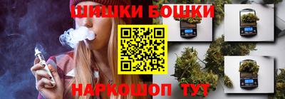 spice Гусев