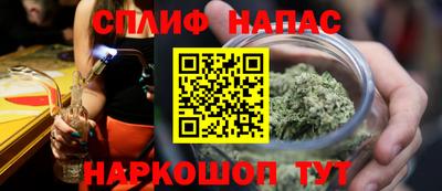 spice Гусев