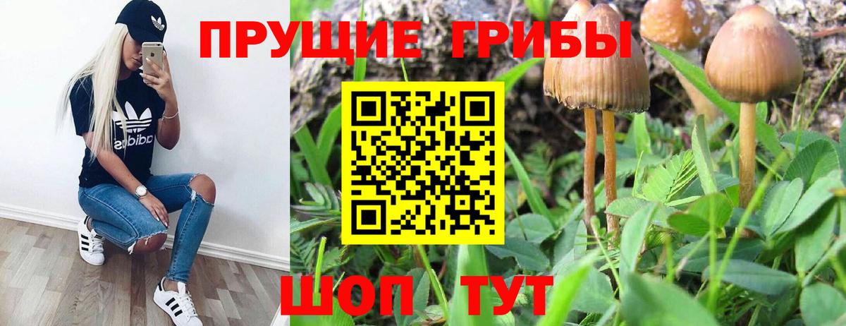 Галлюциногенные грибы мицелий Шадринск