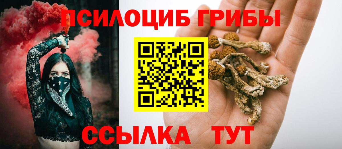 Шадринск  Псилоцибиновые грибы GOLDEN TEACHER  Вход с VPN  Псилоцибиновые грибы GOLDEN TEACHER 